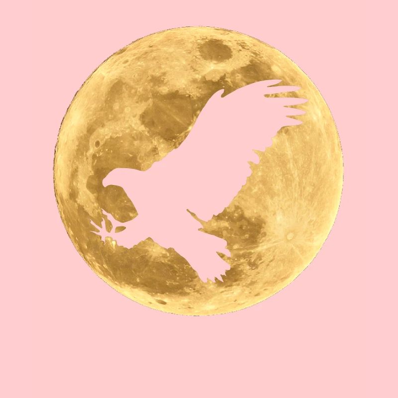 Eagle in the Moon Full Moon