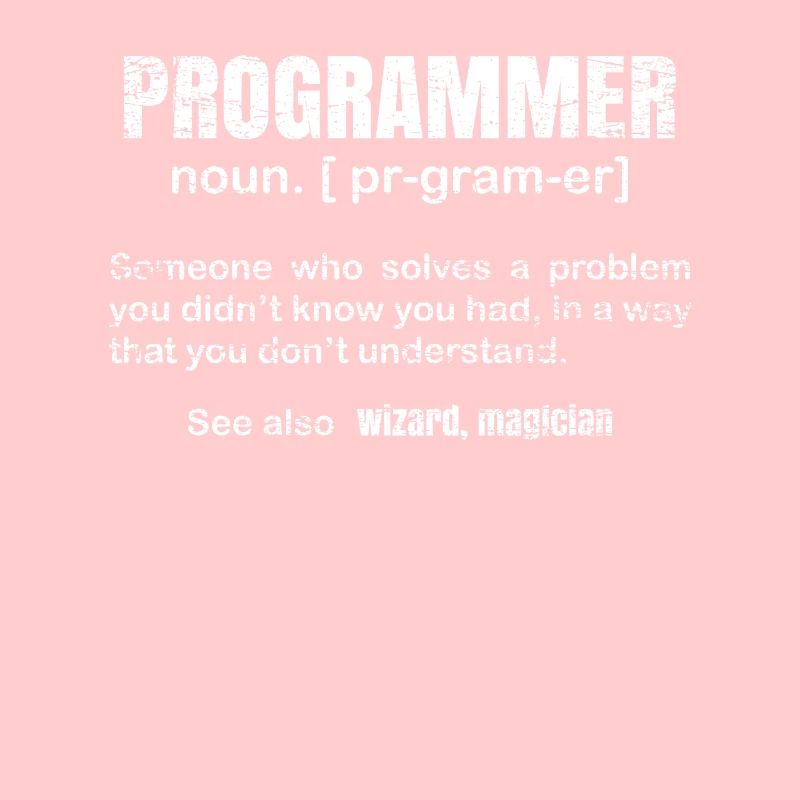 programmeur