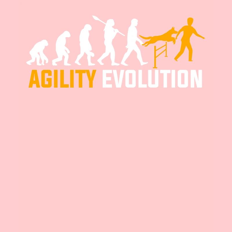 Agility Evolution