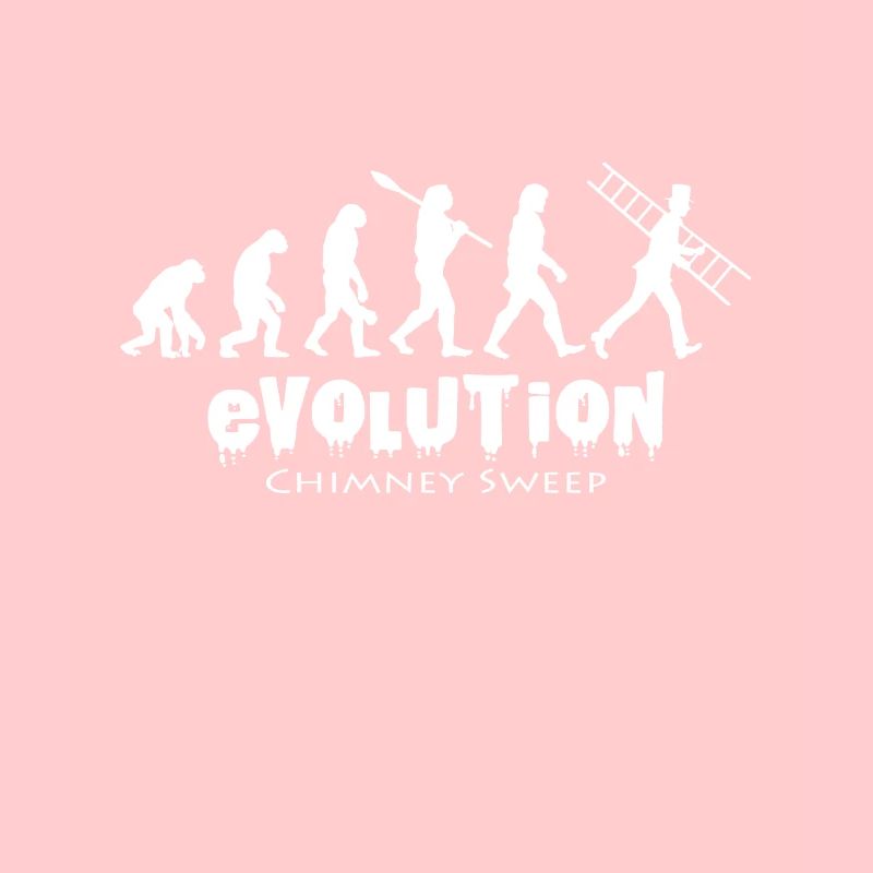 Evolution Ramoneur