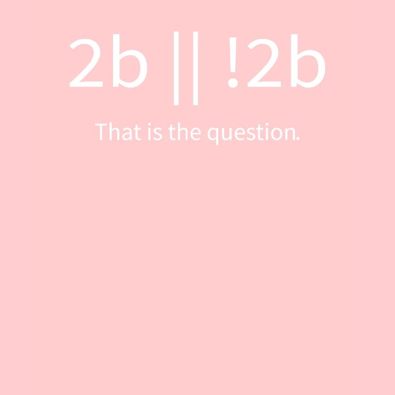 2b lustiger cooler Programmierer sein oder nicht sein