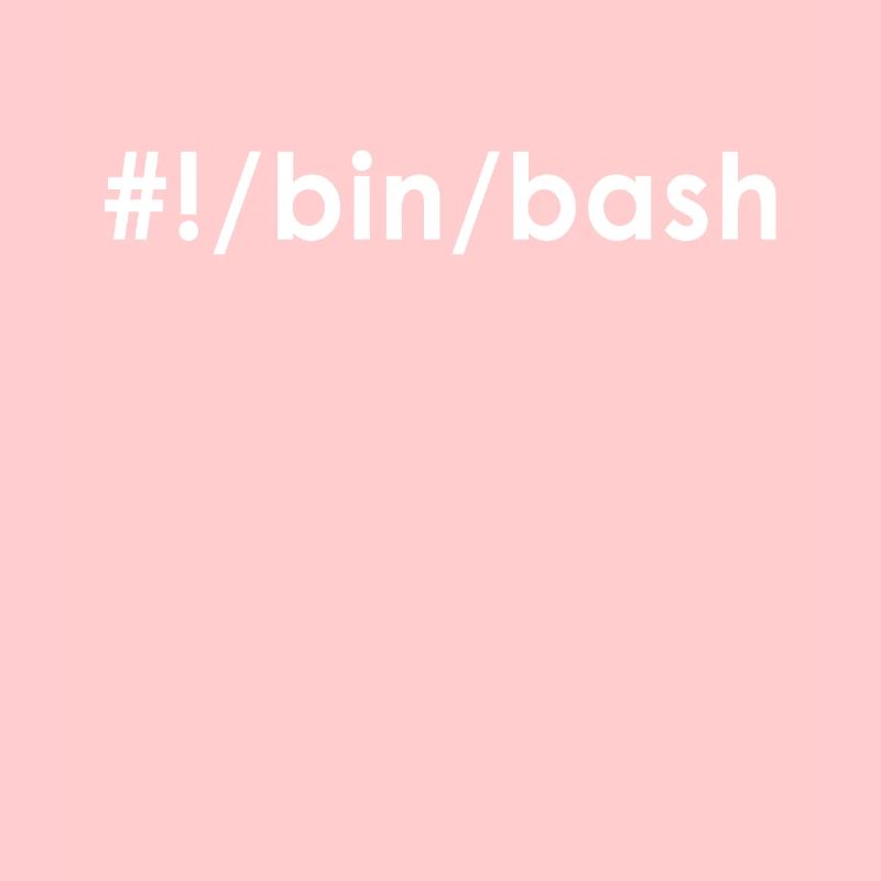 Programmer Admin Devops Linux Bash