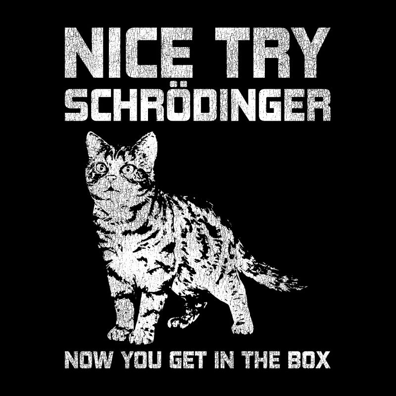 Physique Chat de Schrödinger