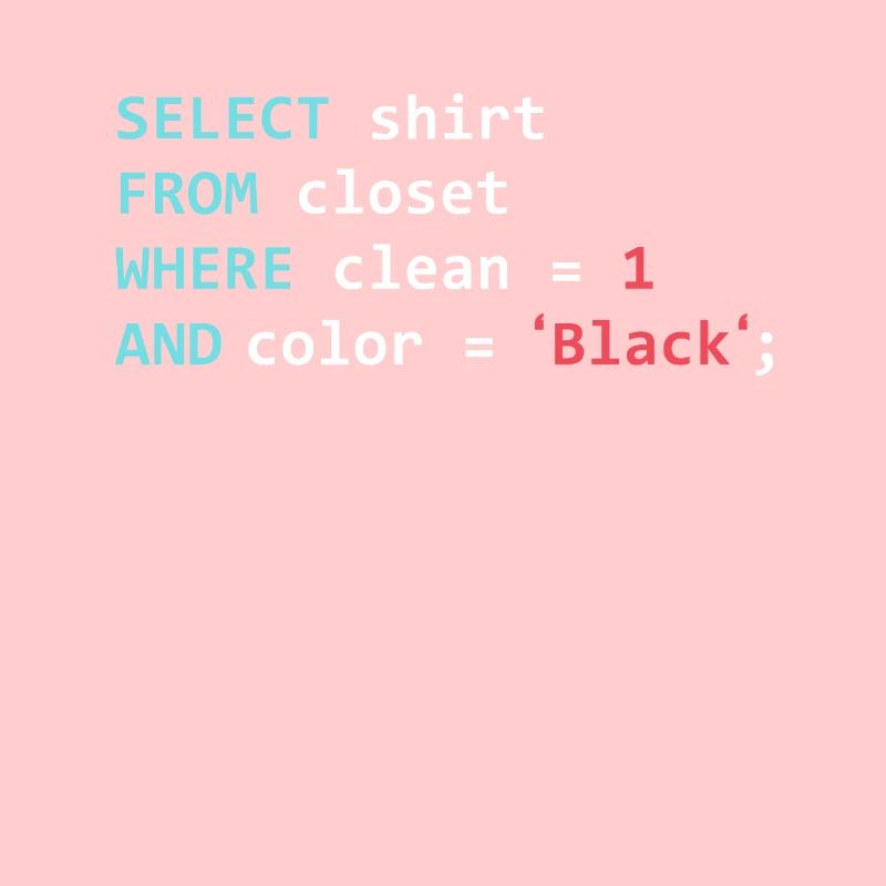 Programmer Database Funny SQL Query