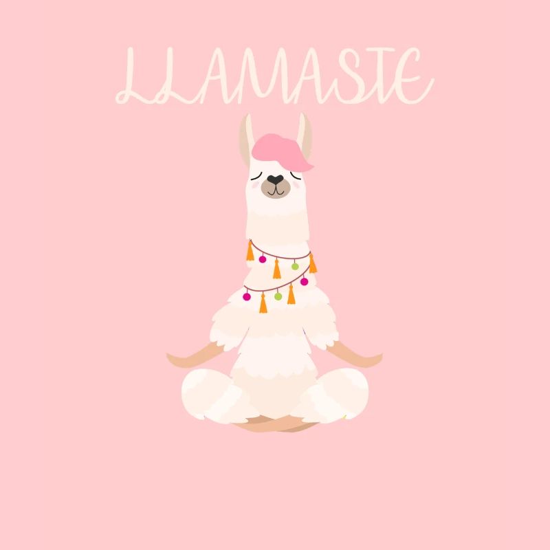 Funny Lama meditates