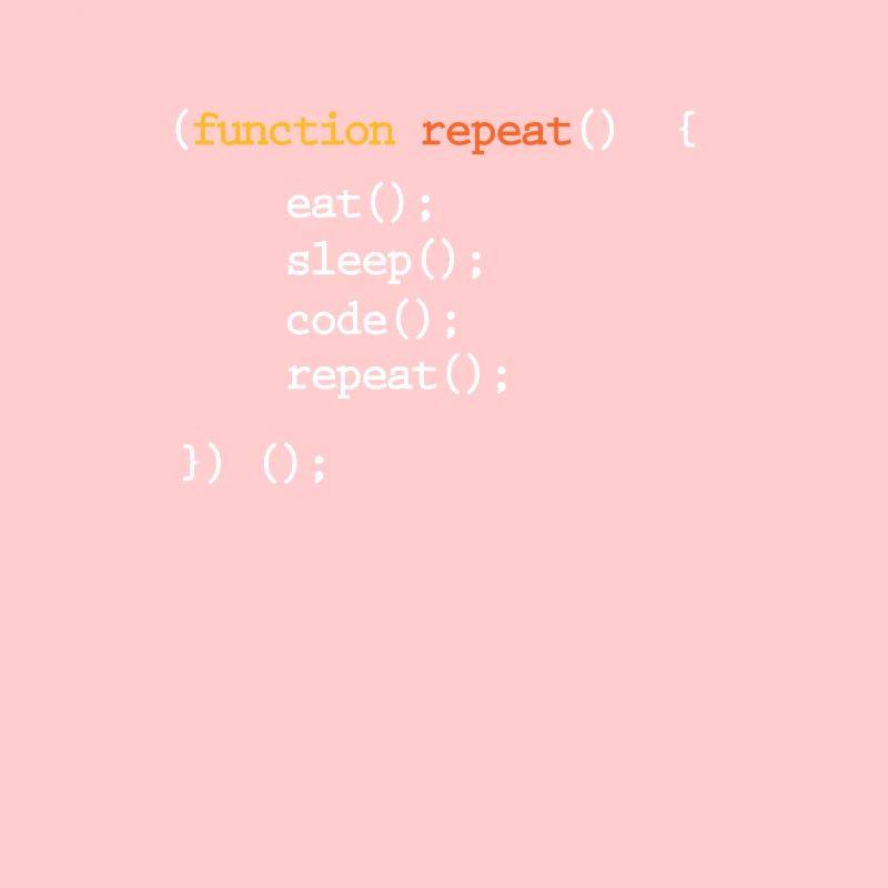 programmeur