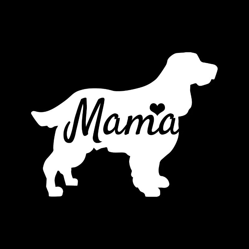 Cocker spaniel