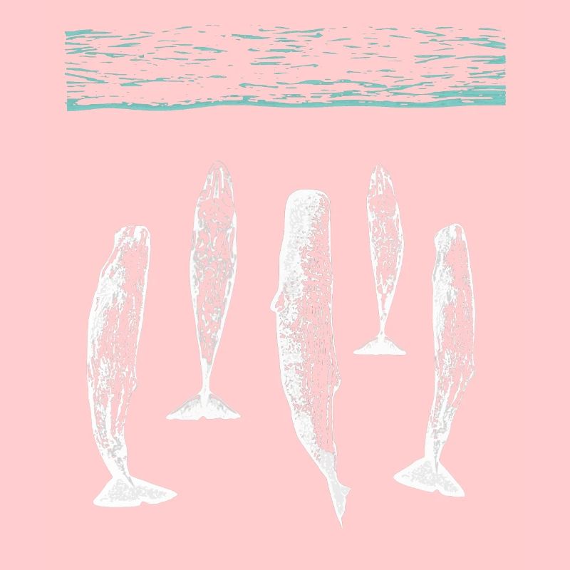spermwhale plain white