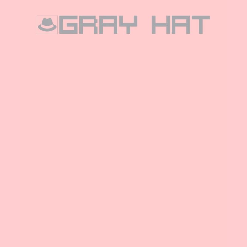 Grey Hat Hacker Typ