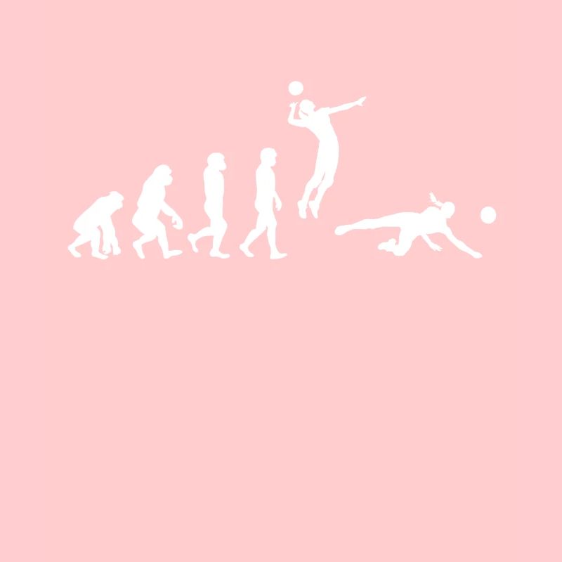 Volleyball Evolution