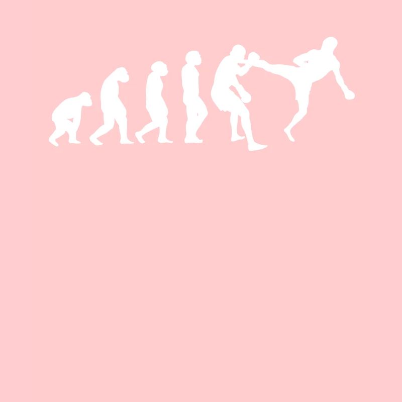 EVOLUTION Kickboxen Kickboxer Kampfsport Sport