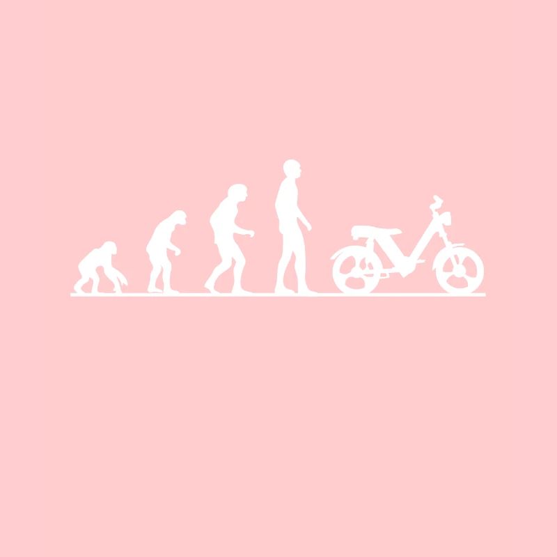 Evolution monkey human two-stroke driver moped Töffli