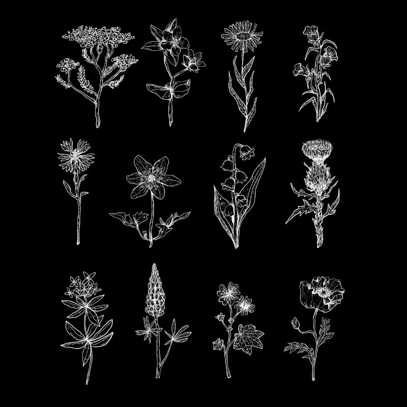 Wildblumen