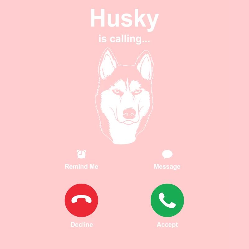Husky Schlittenhunde