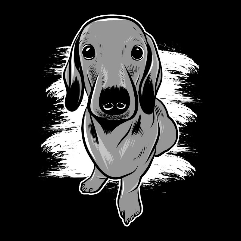 Teckel chien