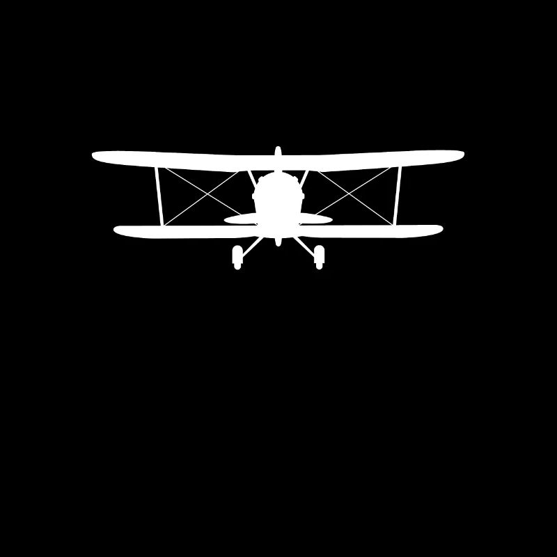 Model flight