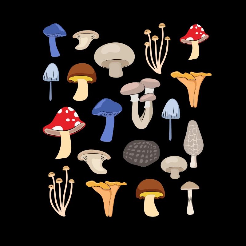 Conception d'espèces de champignons pour un cueilleur de champignons