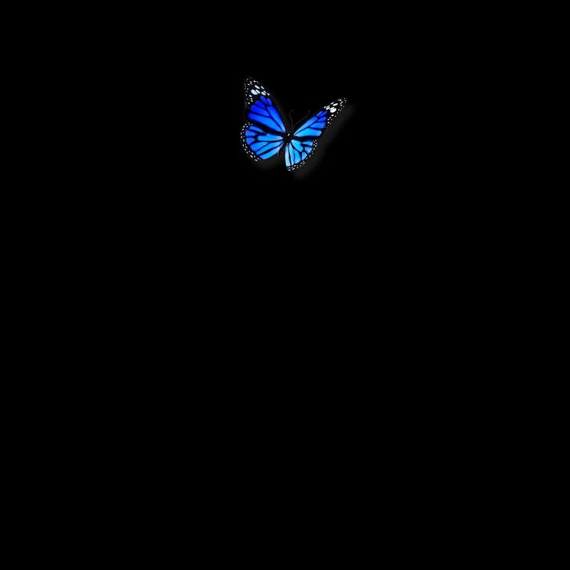 Papillon Bleu Doux Esthétique Emoji Papillon Mignon