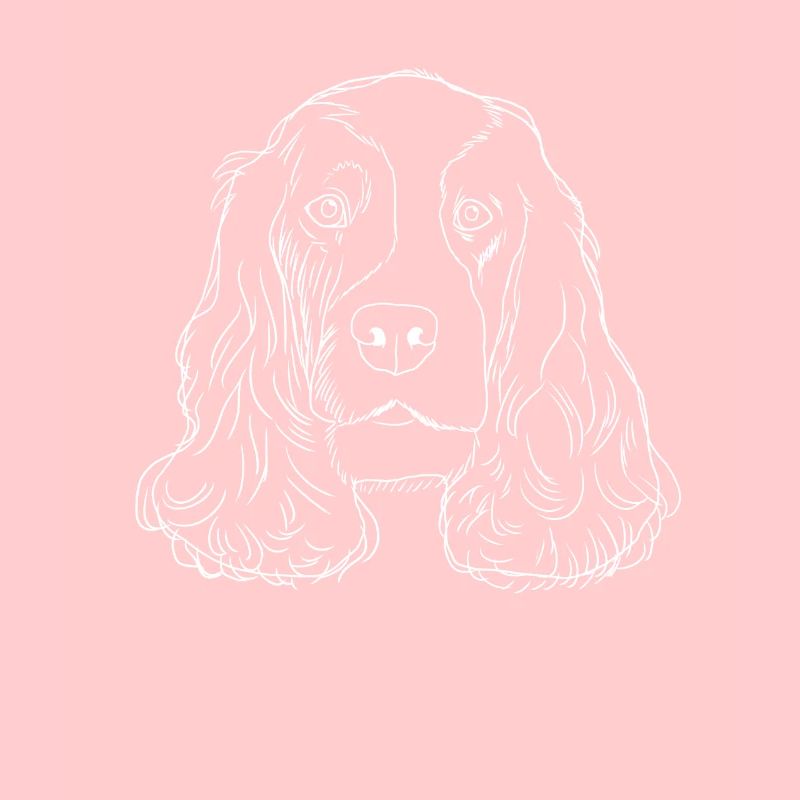 English Cocker Spaniel Dog strokes