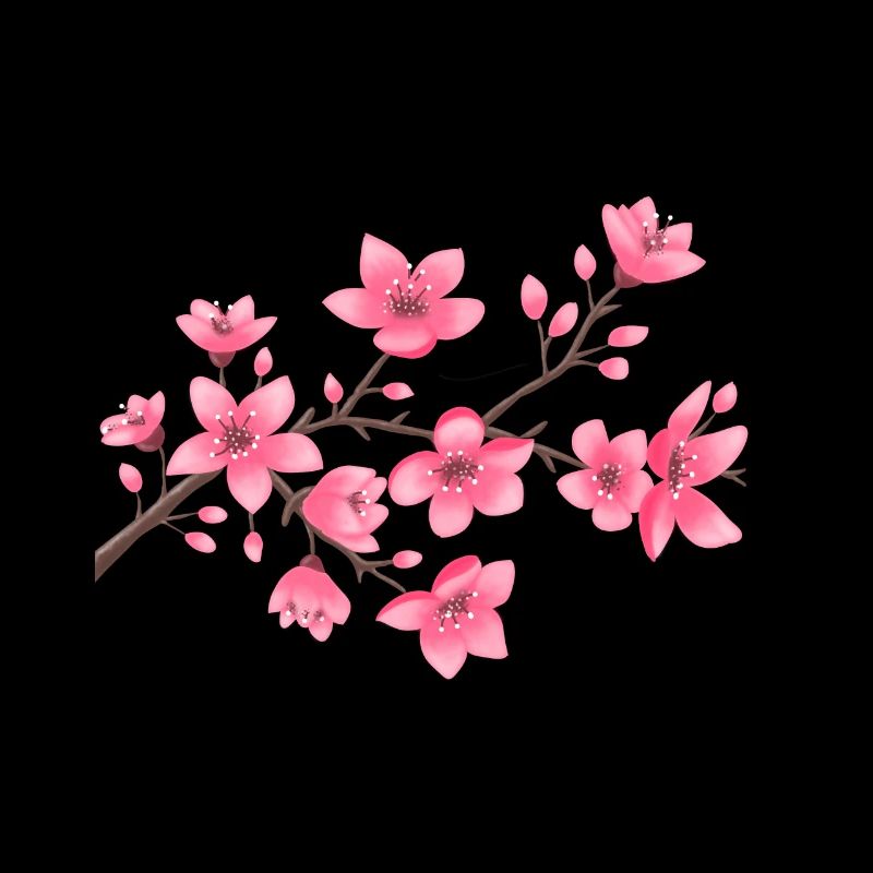 Kirschblüten