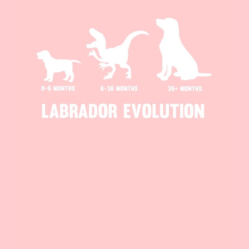 Labrador Evolution für einen Hundehalter Labrador