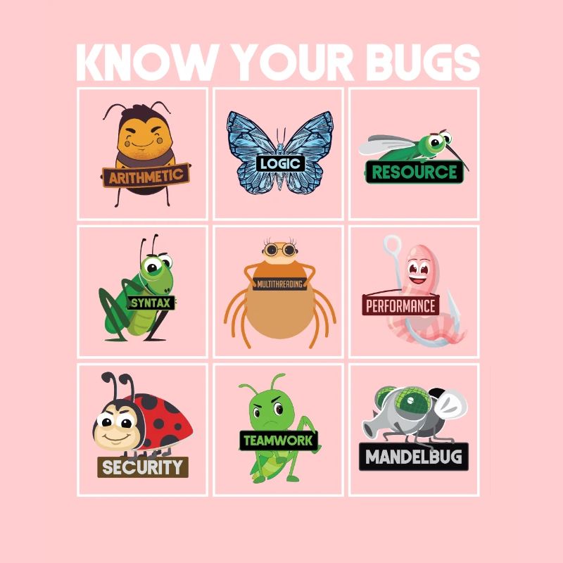 Know Your Bugs Programmer Coding