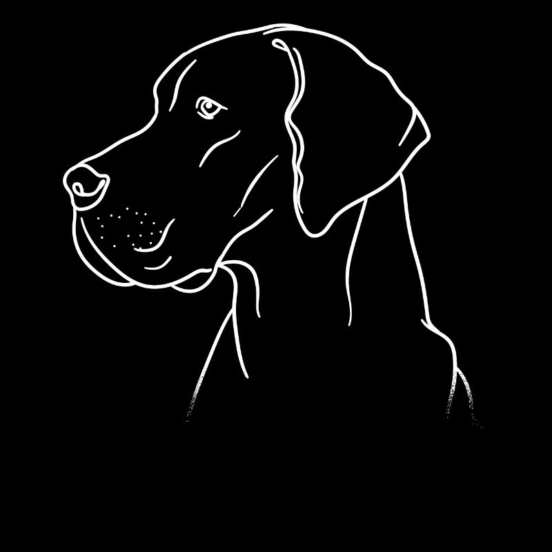Great Dane gift dog