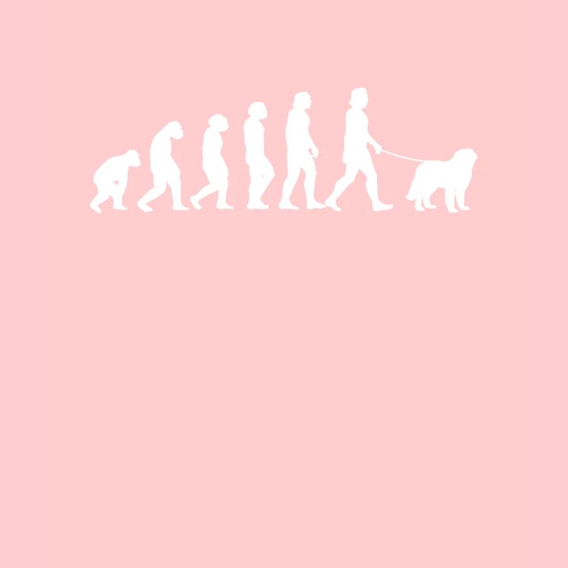 Briard Evolution Berger de Brie Hund Geschenk