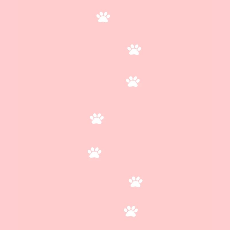 Paws