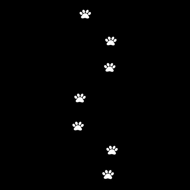 Pattes