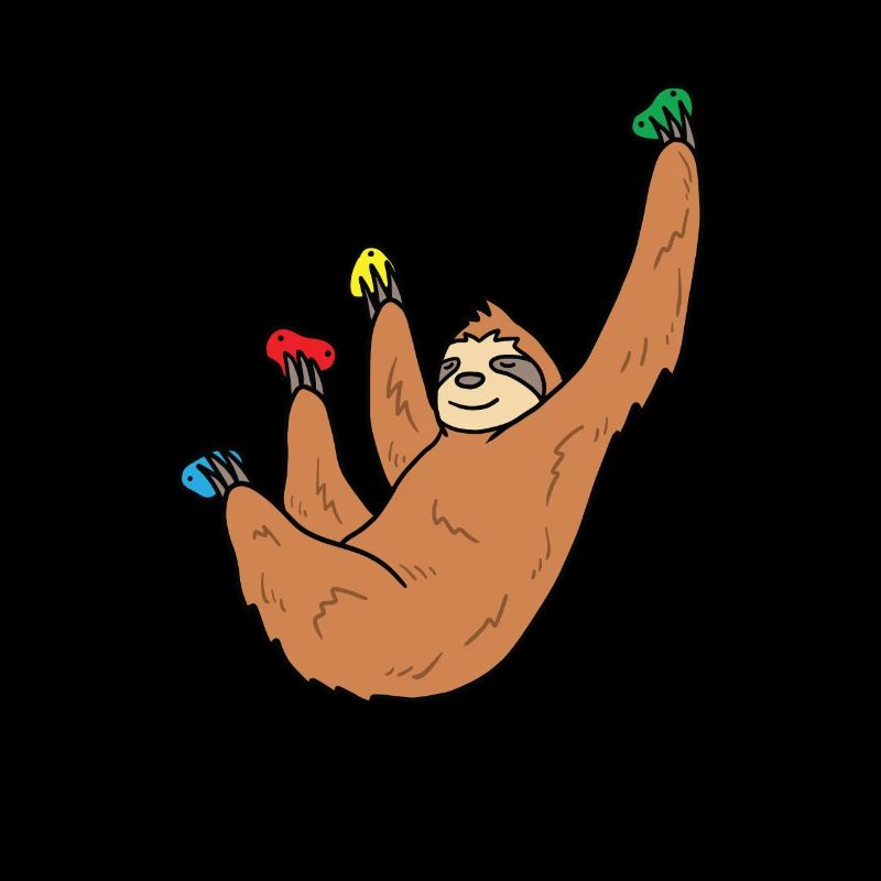 Faultier Boulder Geschenk