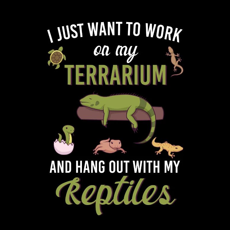 Reptilien Echse Bartagamen Gecko Geschenkidee