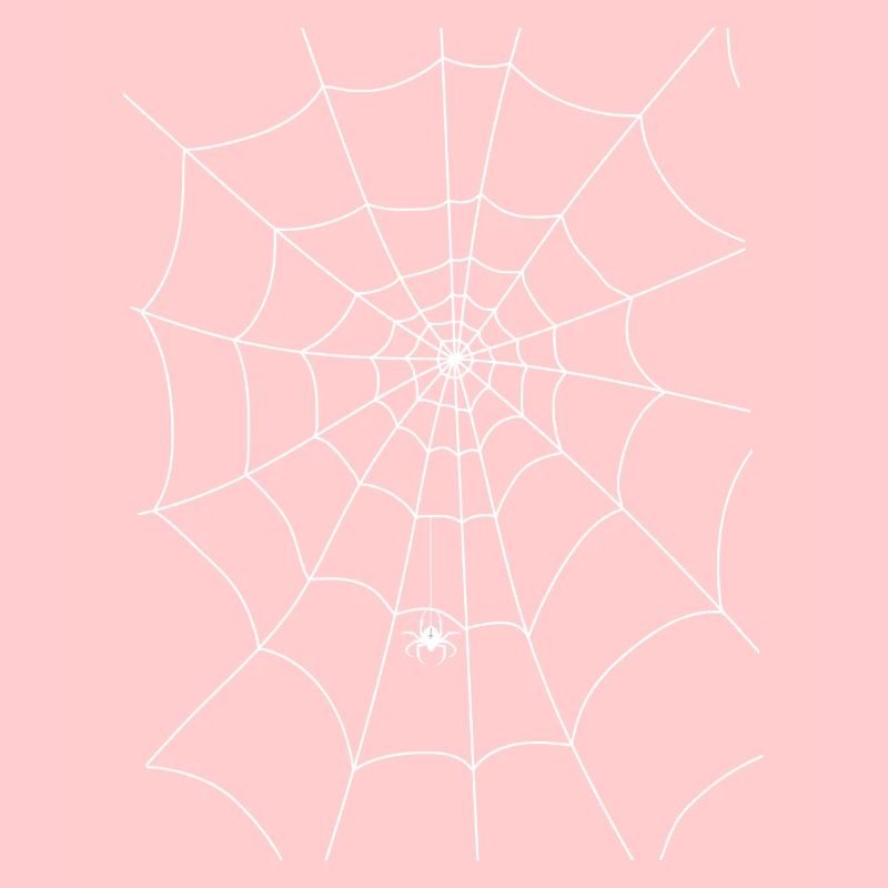 Spider web, spider, spider in the web