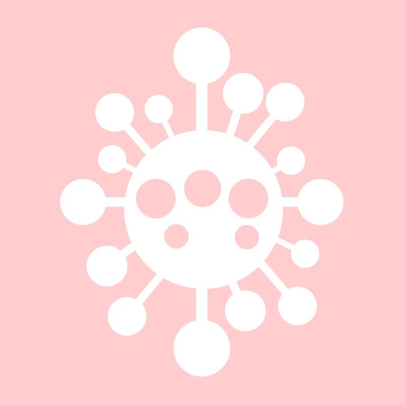 Virus Virus Bactéries