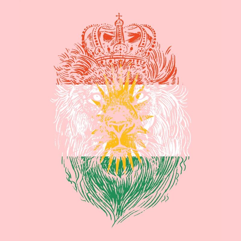 Kurdistan Löwe Kurde Kurden Kurdisch Geschenk