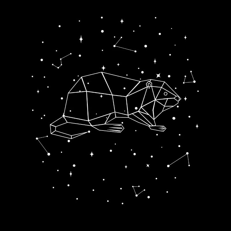 Constellation Nutria Constellation Nutria Castor