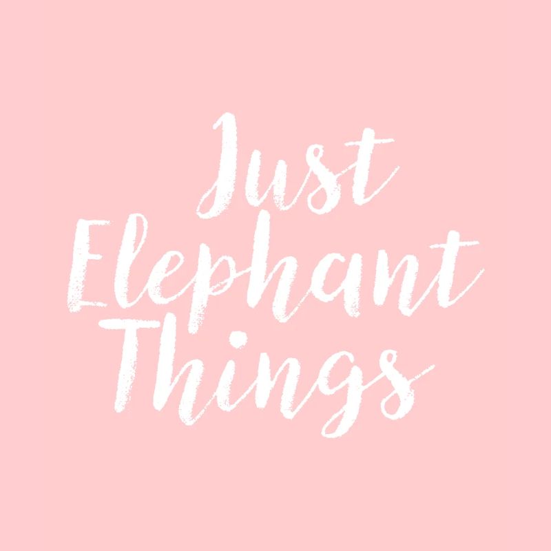Elefanten Teile Rüssel Indischer Elefant
