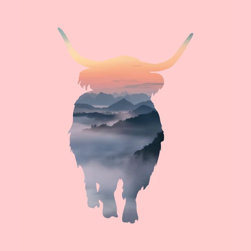 Farmer Scottish Highland Beef Gift