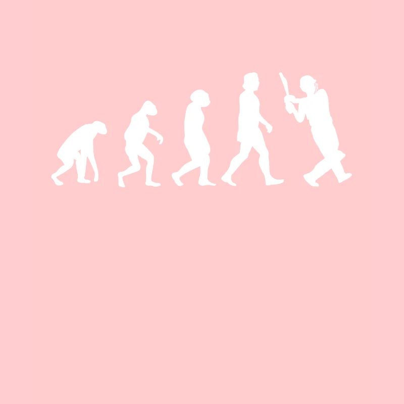 Cricket Evolution Battes de cricket