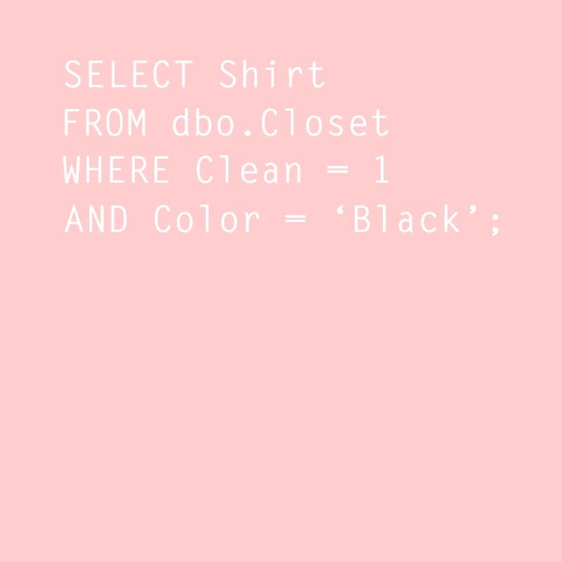 Funny Programmer Programming Language Phyton Java