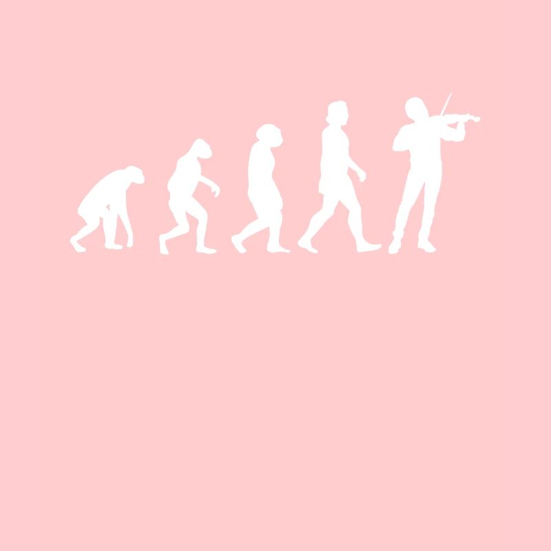 Violinist Evolution Violin Violinist Violin