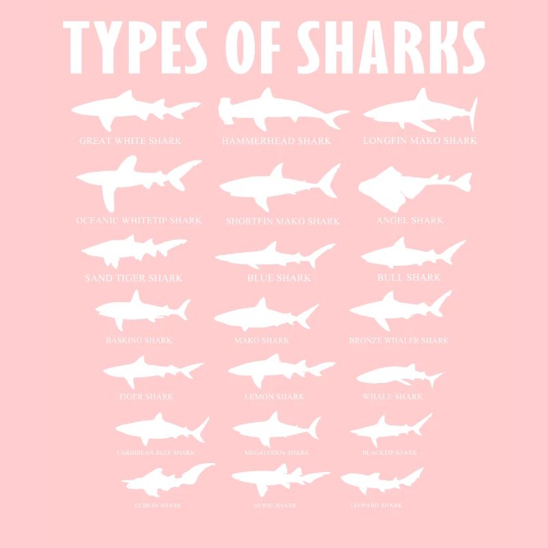 types de requins
