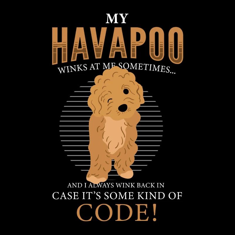 havapoo, havapoo poodle hybrid, havapoo humor,