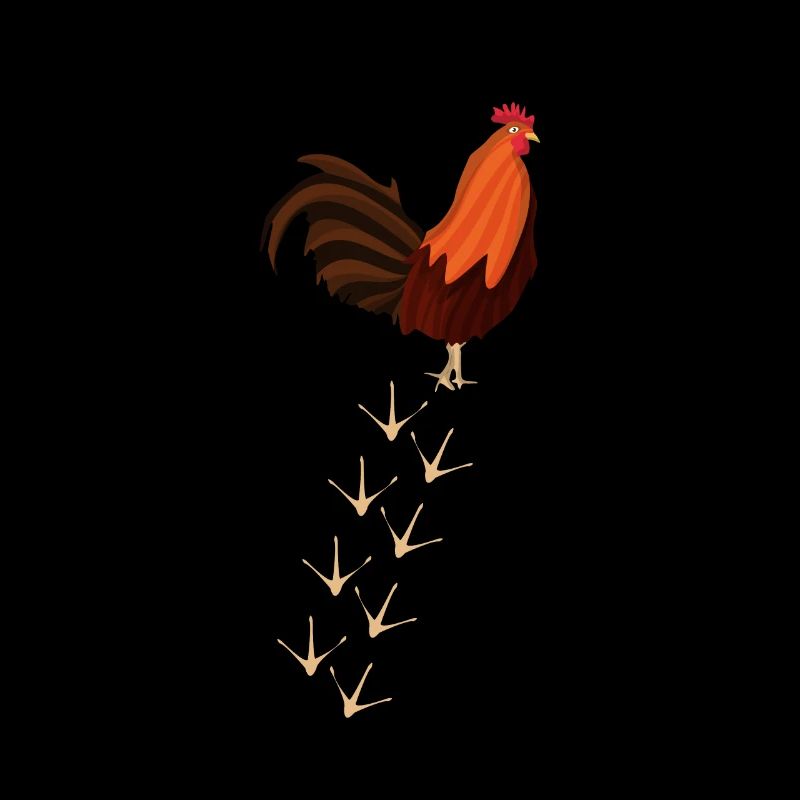 Chicken Chicken Chicks Chicken Coop Chickens Farmer