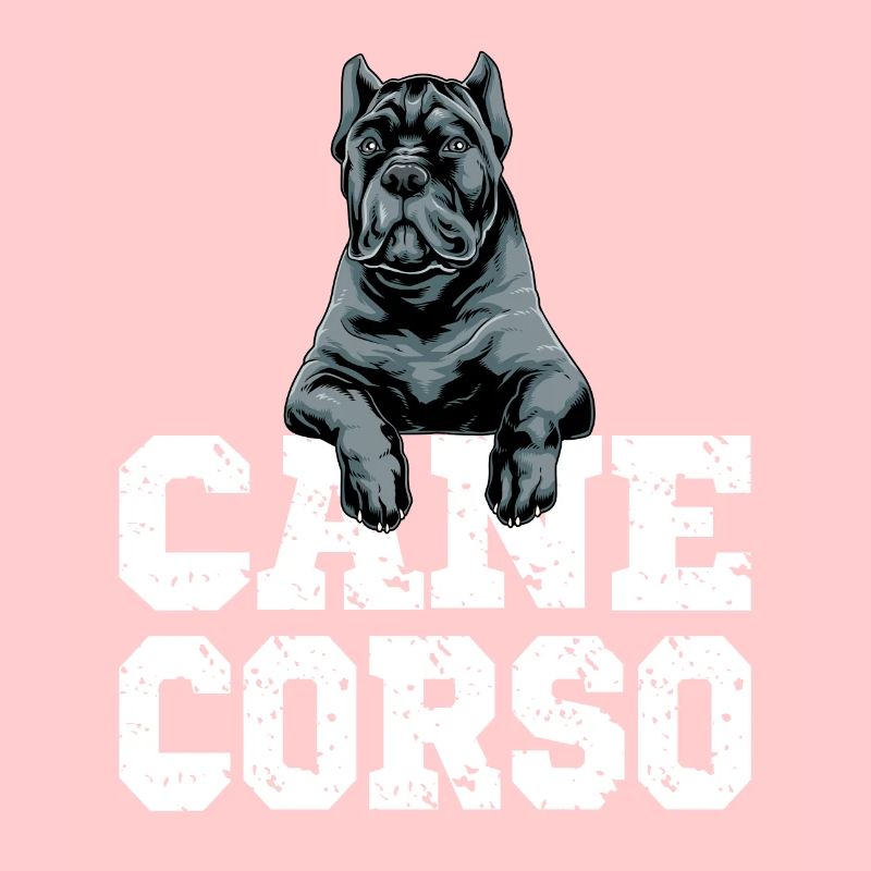 Cane Corso für einen Cane Corso Besitzer Cane