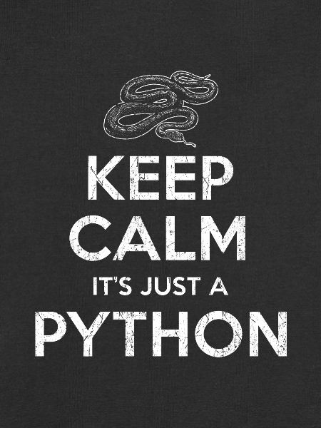 Python Schlange