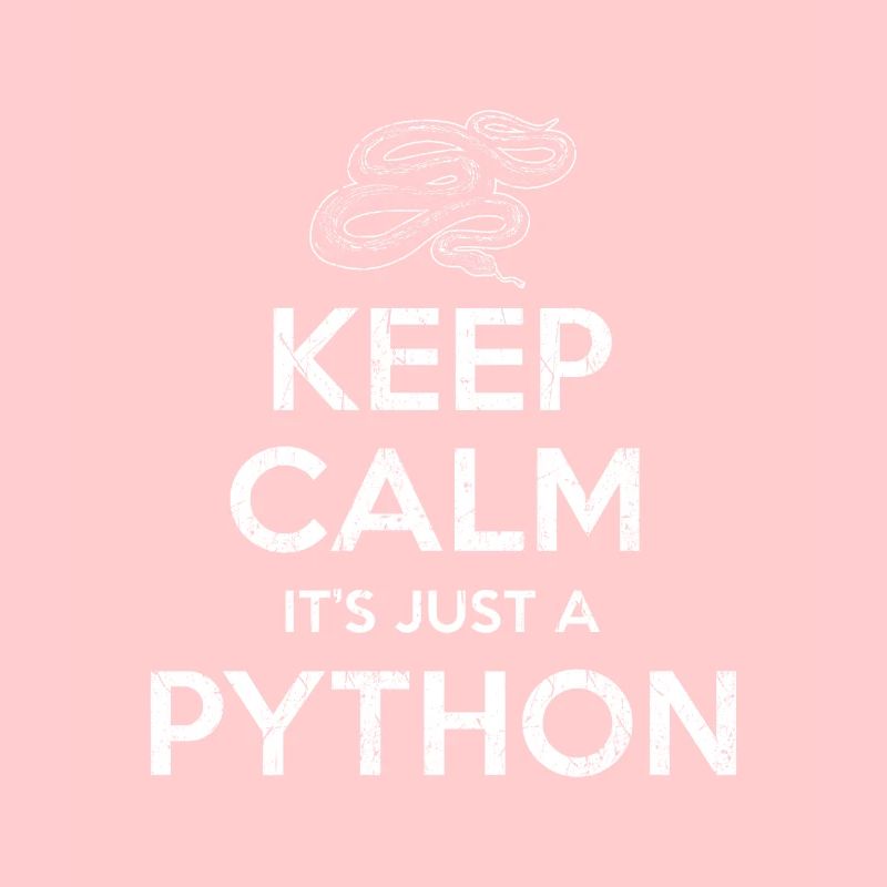 Python Schlange