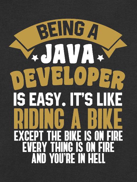 Java Developer