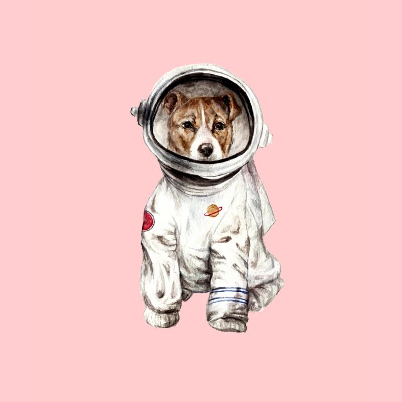 Chien en combinaison spatiale Spatiale Spatiale