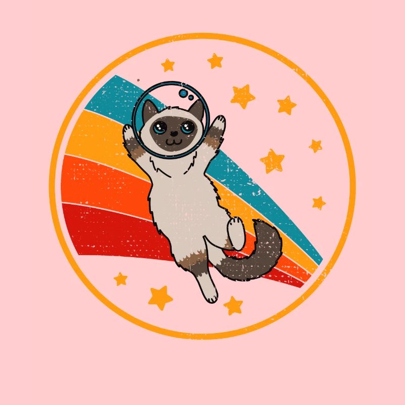 Burmese Birman Cat Space Cat